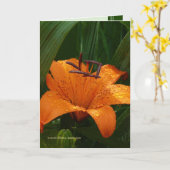 緑のトラ カード (黄色い花)