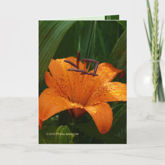 緑のトラ カード