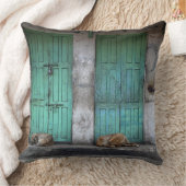 緑のドアの装飾用クッションの前の野良犬 クッション (ブランケット)