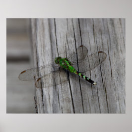 緑のドラゴン ポスター