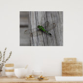 緑のドラゴン ポスター (キッチン)