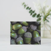 緑のドングリの木の実 ポストカード (スタンド正面)