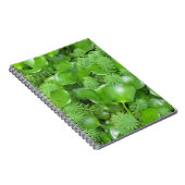 緑のノートの緑 ノートブック (右側)