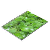 緑のノートの緑 ノートブック (左側)