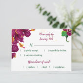 緑のハイビスカスの花の葉反応が鈍い 出欠カード (スタンド正面)