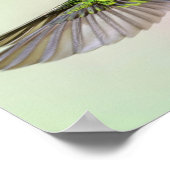 緑のハミングバ飛んでいるッド ポスター (角)