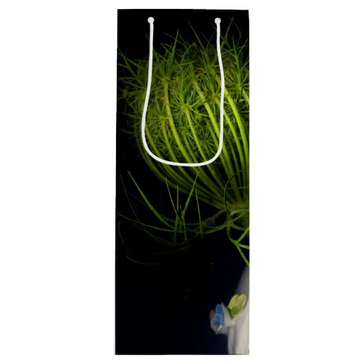 「緑のハート（黒）」 ワインギフトバッグ (正面)