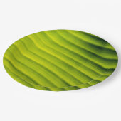 緑のバナナの葉のテクスチャの背景 ペーパープレート (アングル)