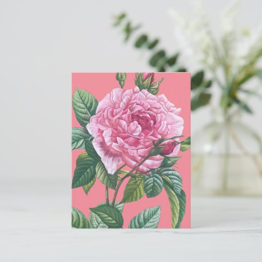 緑のバラの花離れ付 ポストカード (スタンド正面)