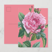 緑のバラの花離れ付 ポストカード (正面/裏面)