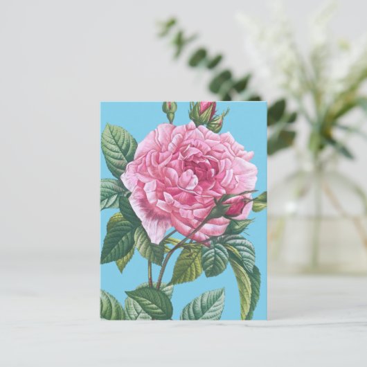 緑のバラの花離れ付 ポストカード (スタンド正面)