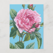 緑のバラの花離れ付 ポストカード (正面)