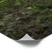 緑のパス13ポスター ポスター (角)