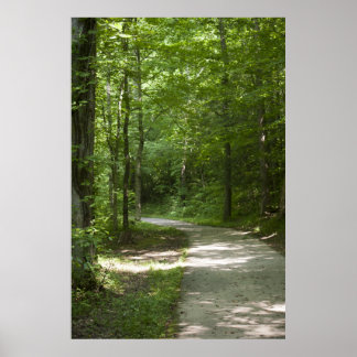 緑のパス13ポスター ポスター