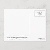 緑のパッチワークRavens混合メディアポストカード ポストカード (裏面)