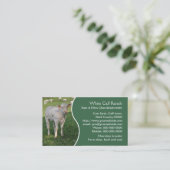 緑のパネルを持つ白いcharolaisの子牛 名刺 (スタンド正面)