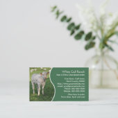 緑のパネルを持つ白いcharolaisの子牛 名刺 (スタンド正面)