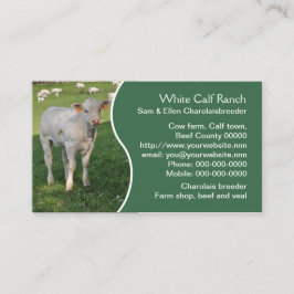 緑のパネルを持つ白いcharolaisの子牛 名刺