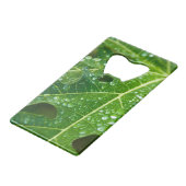 緑のパパイヤの葉に雨が滴る クレジットカード栓抜き (裏面アングル)