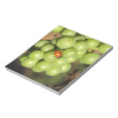 緑のピノ・ノワールのブドウのレディバグのクローズアップ ノートパッド (回転)