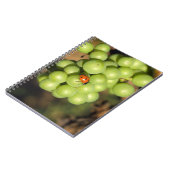 緑のピノ・ノワールのブドウのレディバグのクローズアップ ノートブック (左側)