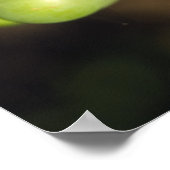 緑のピノ・ノワールのブドウのレディバグのクローズアップ ポスター (角)