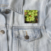 緑のピノ・ノワールのブドウのレディバグのクローズアップ 缶バッジ (インサイチュ)