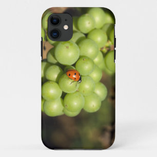 緑のピノ・ノワール葡萄の上のテントウムシのクローズアップ iPhone 11 ケース