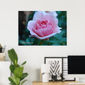 緑のピンクのバラ ポスター (ホームオフィス)