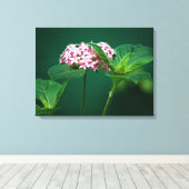 緑のピンクのTouch キャンバスプリント (インサイチュ (ウッドフロア))