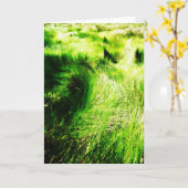 緑のフィールド-グリーティングカード カード (黄色い花)