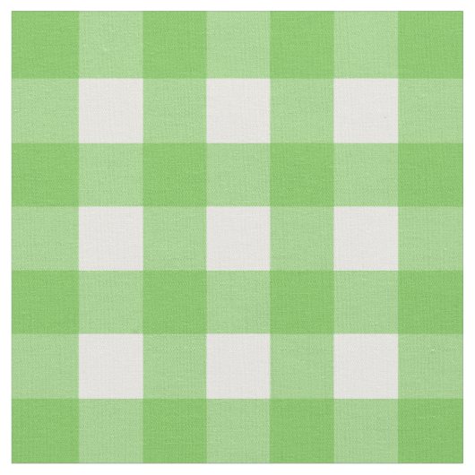 緑のフラッシュ及び白いギンガムの点検 ファブリック (クローズアップ)