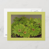 緑のフラワーパワー ポストカード (正面/裏面)