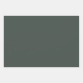 緑のフレッチャー無地の ラッピングペーパーシート (正面2)