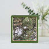 緑のフレームの松ぼっくり - フラットなホリデーカード シーズンカード (スタンド正面)
