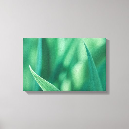 緑のフローラ自然写真 キャンバスプリント (正面)