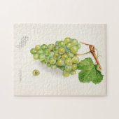 緑のブドウの房フルーツ水の色絵画の ジグソーパズル (横)