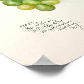 緑のブドウの房フルーツ水の色絵画の ポスター (角)