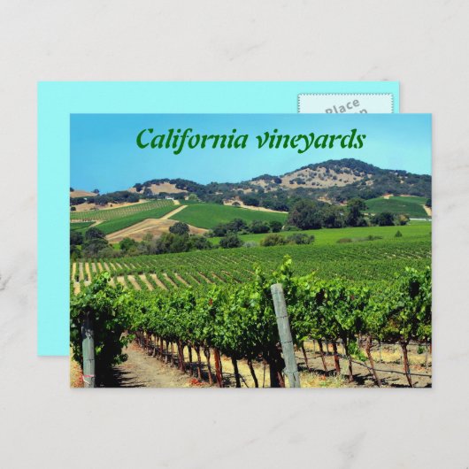 緑のブドウ畑の写真 ポストカード (正面/裏面)
