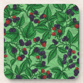 緑のブラックベリー コースター (正面)