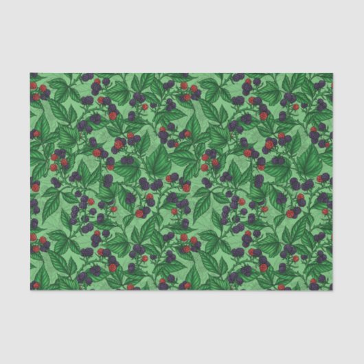 緑のブラックベリー 薄葉紙 (正面)