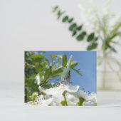 緑のヘアストリークバタフライDIYポストカード ポストカード (スタンド正面)