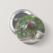緑のヘロンの魚釣りボタン 缶バッジ (正面&裏面)