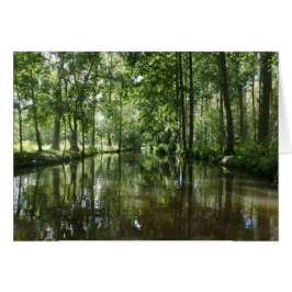 緑のベニスCoulonフランス