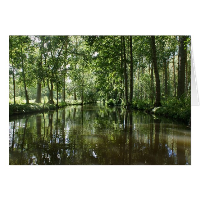 緑のベニスCoulonフランス (正面横)