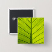 緑のベ葉インの付いた 缶バッジ (正面&裏面)