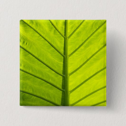 緑のベ葉インの付いた 缶バッジ (正面)