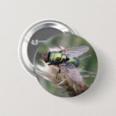 緑のボトルフライアマクロボタン 缶バッジ (正面&裏面)