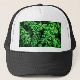 緑のボブル植物 キャップ