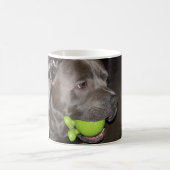 . .緑のボール入りコーヒーマグのかわいい犬 コーヒーマグカップ (中央)